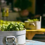 Ertl Gmbh Spittal an der Drau