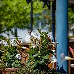 Ertl Gmbh Spittal an der Drau