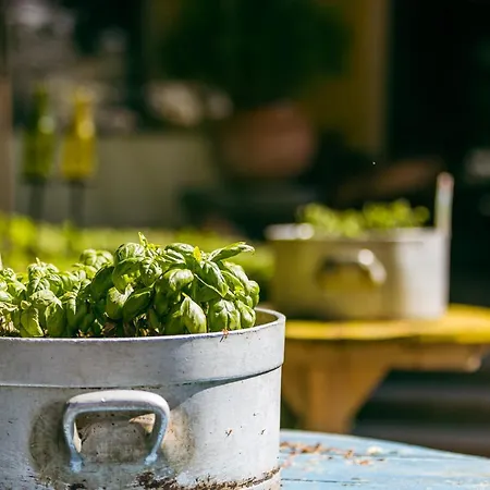 Ertl Gmbh Spittal an der Drau