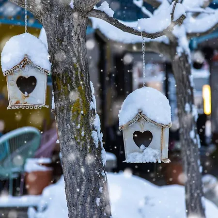 Szálloda Ertl Gmbh 4*