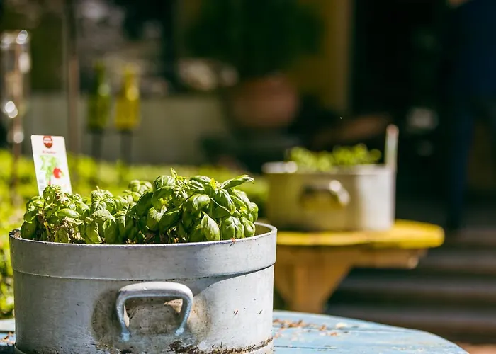 Ertl Gmbh Spittal an der Drau