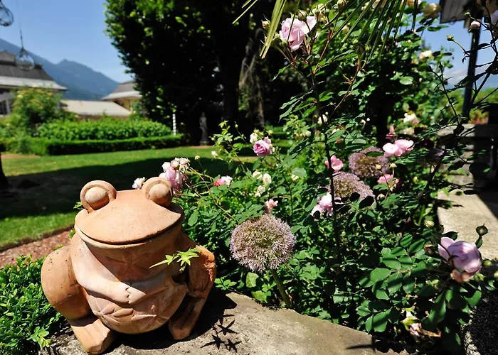 מלון Ertl Gmbh 4*