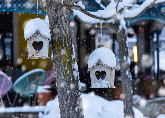 מלון Ertl Gmbh 4*